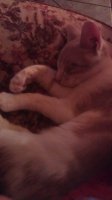 IMAG0823.jpg