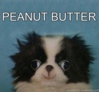 peanut-butter-dog.jpg