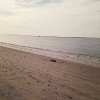 IMG_20150222_185322.jpg