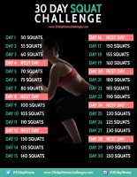 30-day-squat-challenge-chart.jpg