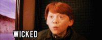 harry-potter-turns34-today-0502.gif