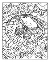 coloriage-difficile-papillon.jpg