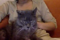 Photo du 30-03-2015 à 22.45.jpg