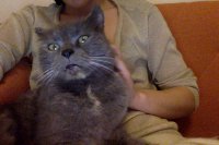 Photo du 30-03-2015 à 22.45 #2.jpg