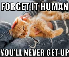 classic-meme-impact(1).png classic-meme-impact(1).png