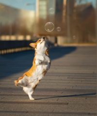 1638048402322.png