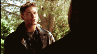 tumblr_m3hnucBVhd1r7ifqv.gif