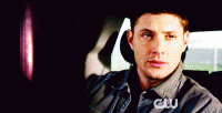 tumblr_m3hnty9WtI1r7ifqv.gif