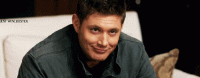 tumblr_m3hnsyFF6g1r7ifqv.gif