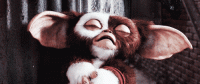 tumblr_n12y3qyIZE1qggqi7o1_500.gif