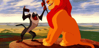 giphy (1).gif