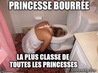 princesse bourrée2.jpg