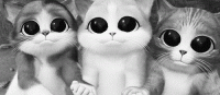 mignon_cats.gif mignon_cats.gif