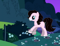 ponyWithBackground.png