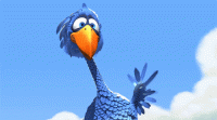 hello.gif