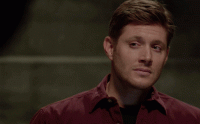 tumblr_nbyszsZO021r6tq2so1_500.gif