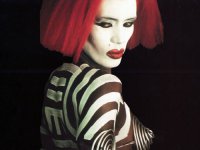 vampires-grace-jones-de.jpg