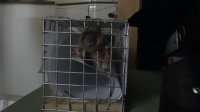 DSC01217.JPG