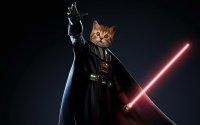 darth-vader-cat.jpg