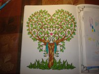 DSC00874.jpg