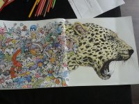 20150828_162413.jpg