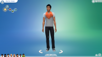 Capture d'écran Sims 4.PNG