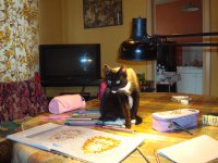 DSC03125.jpg