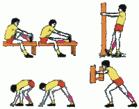 image003.gif