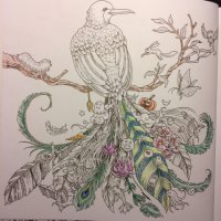 FullSizeRender [337606].jpg