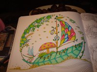 DSC03196.jpg