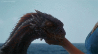 calin dragon.gif