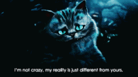 tumblr_lzqczmOEzC1qjvec5o1_500.gif
