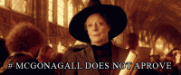 McGonagall doesn't approve.gif