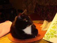 DSC03394.jpg