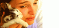 Natalie-Portman-cat.gif