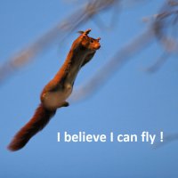 I believe I can fly.jpg