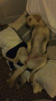 20151003_230817.jpg