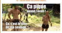 Capture.JPG