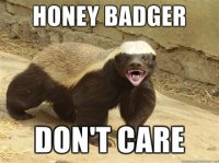 Honey-Badger-Dont-Care.jpg