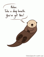 comforting-otter.gif