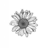 Margueritte