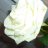 mathou1203