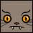 Catgut