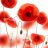 Poppyflow