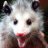 LazyOpossum