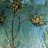 Nuances de bleue